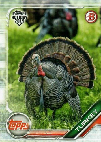 2019 Topps Bowman Holiday Turkey